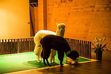 炸弹人大逃杀游戏《超级炸弹人R OL》今日停服